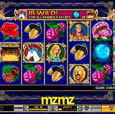 mzmz Rio de Janeiro - Professional Dealers